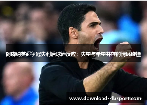 阿森纳英超争冠失利后球迷反应：失望与希望并存的情感碰撞